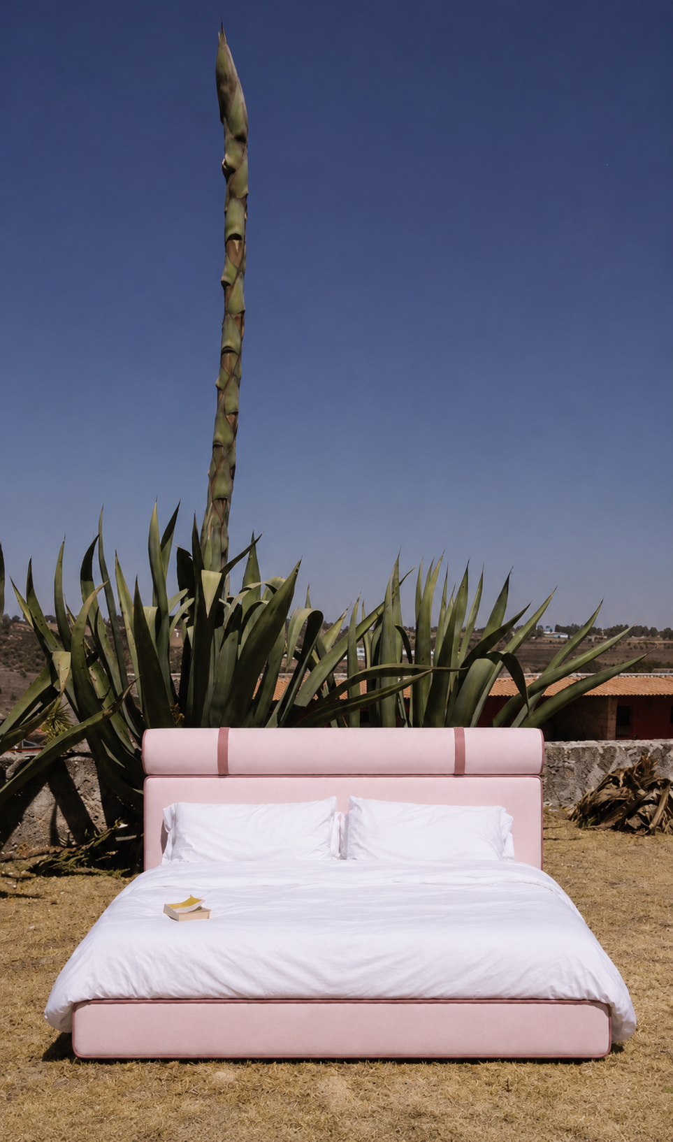 CAMA FUSTE 6.0